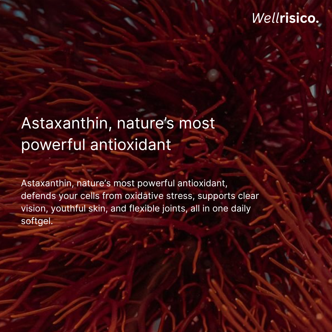 Wellrisico Anti Aging and Total Body Wellness Supplement